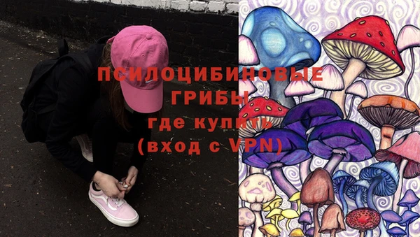 ешки Балахна
